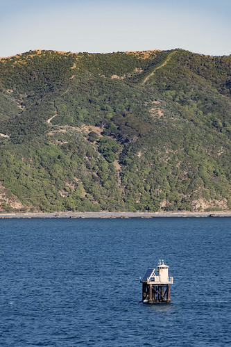 Near Hinds Point in the Wellington Harbour ©  maticulous