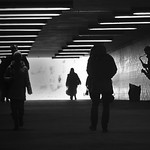Saxophonist in the Subway