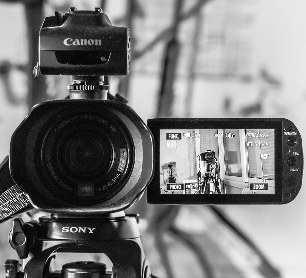 : Selfie of a reflex camera using the display of a videocamera
