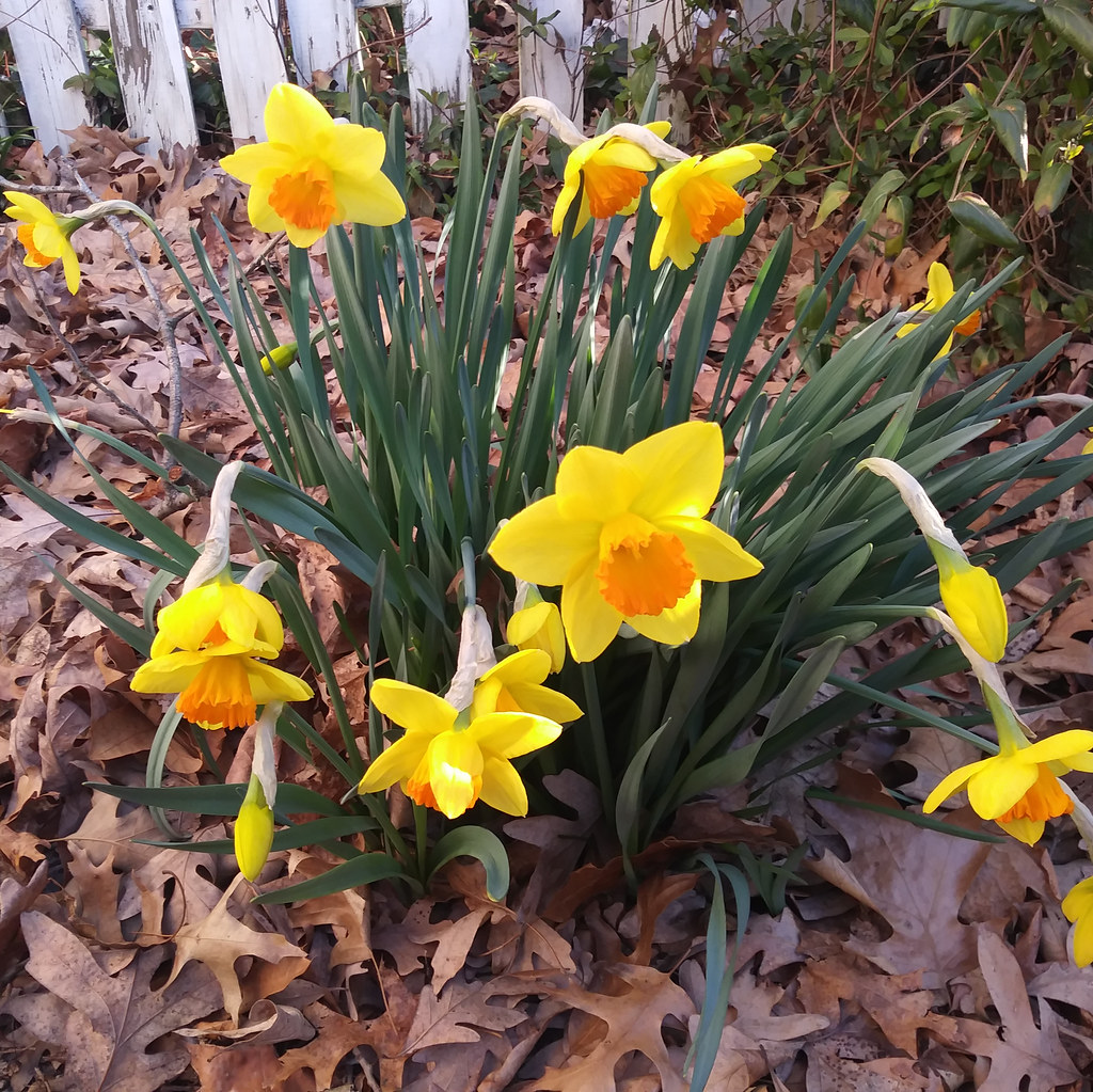 : Spring arriving