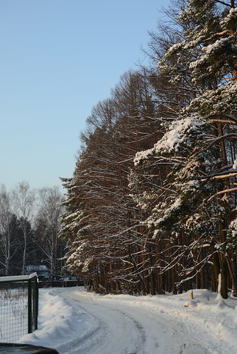 Winter ©  Andrey