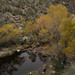 Fall colors from the Bluff Trail, Sabino Canyon