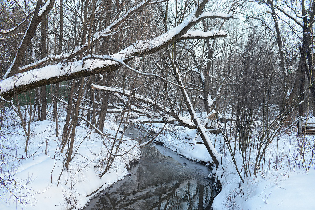 : Winter river