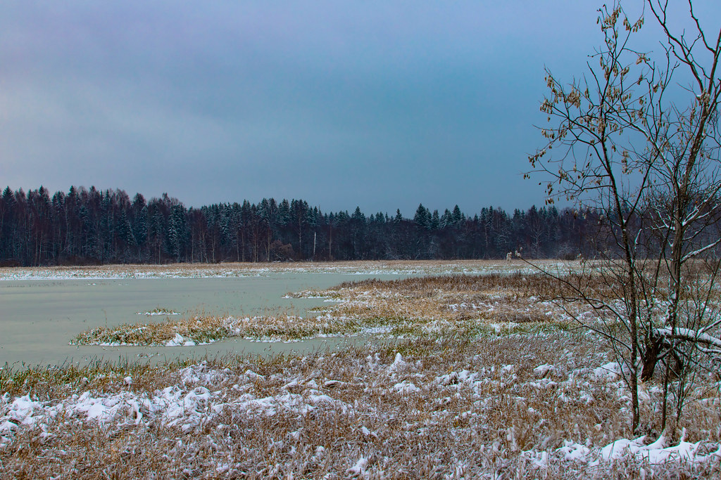 : Lake in winter