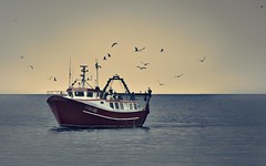 Fishing boat returning to harbour