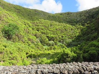 Algar do Carvão Natural Monument (Terceira, Açores)