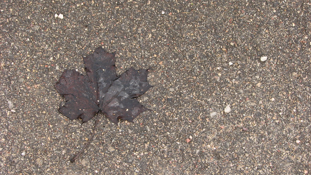 : Black Leaf