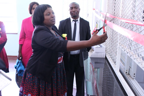 Zimbabwe: Official opening of Mpilo Centre of Excellence