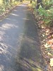 I-205 bike path clean-up 11-2018 (29)-sm