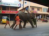 Elephant at work • <a style="font-size:0.8em;" href="http://www.flickr.com/photos/7955046@N02/4415977373/" target="_blank">View on Flickr</a>