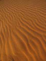 Shifting Sands of the Sahara