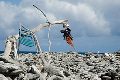 debris beach sculpture