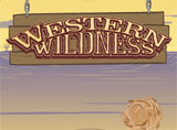 Online Western Wildness Slots Review