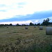 Fields near Buscot Lock