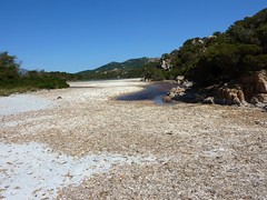 Etang de Pisciu Cane derrière la plage : l'embouchure