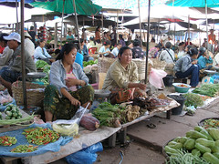 Km 52 Market
