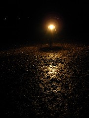 Lanterns on the beach