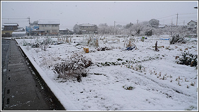 2010年2月18日の雪