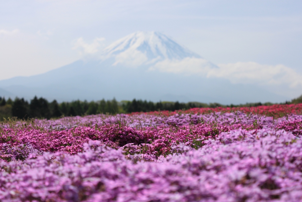 A Japan photo No.113：Mt Fuji drive
