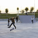 Skate Park de La Barre
