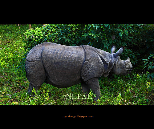 Nepal 2009 (20)
