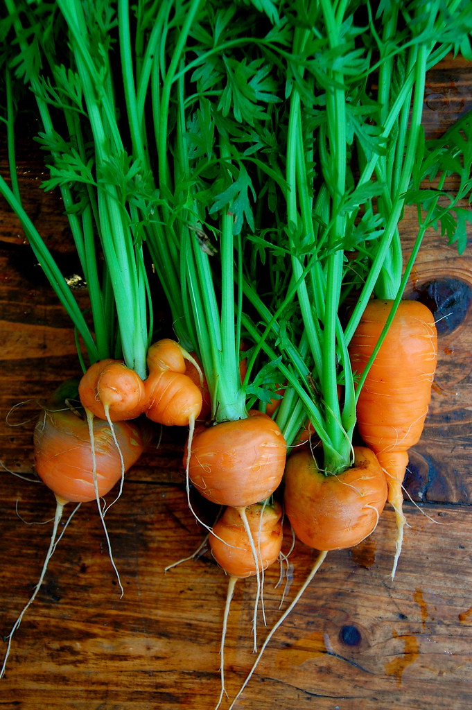 parisian carrots