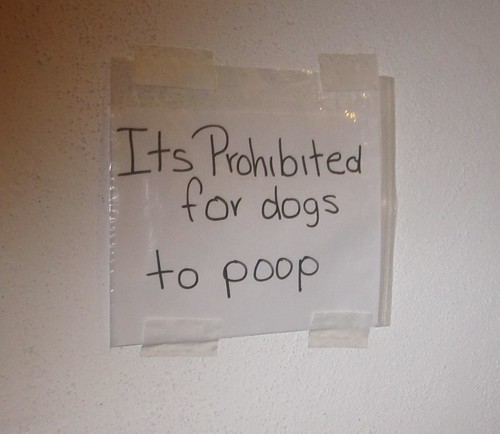 Its [sic] Prohibited for dogs to poop