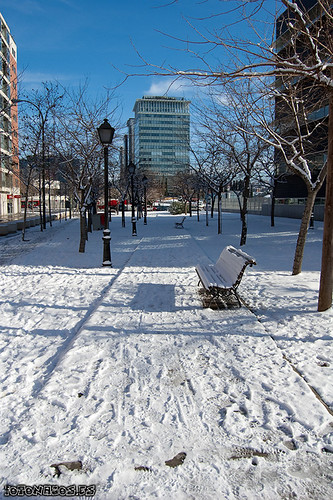 La aventura de ir al trabajo el día de la nevada en Madrid