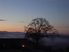 Morning by blue_yeti, on Flickr