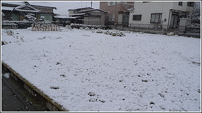 2010年2月18日の雪