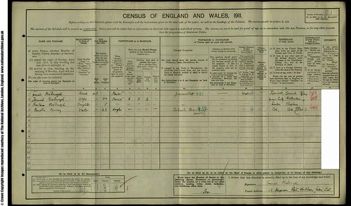 MacDonagh census form