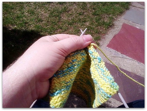 Knitting on a sunny spring day
