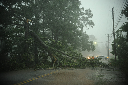 Fwd: winds down tree just moments ago in the box springs community of tuscaloosa  39th ave east