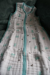 aden + anais sleeping bag