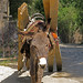 Donkey loaded with wood