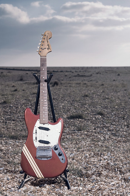 dogtemple Fender Mustang