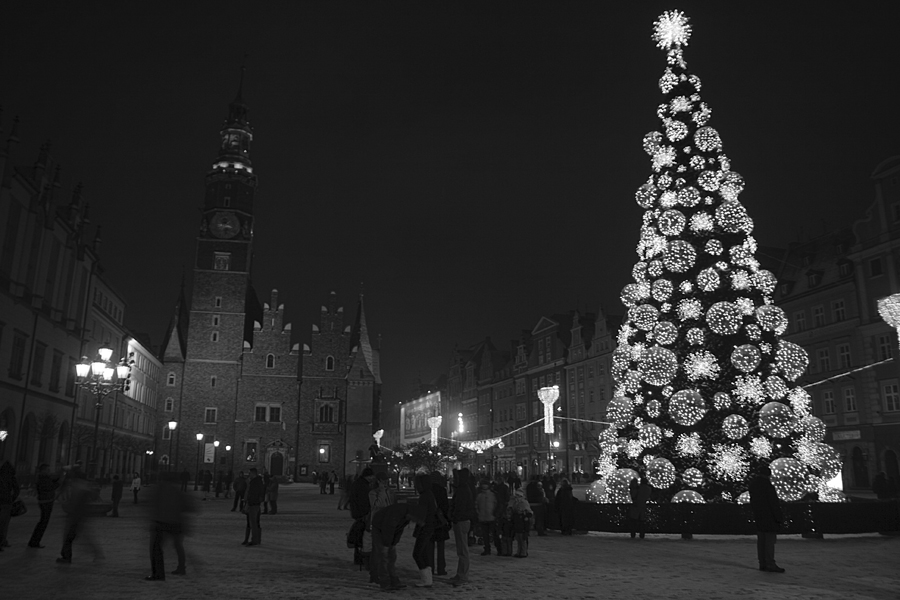 Wrocław '10 / frosty night