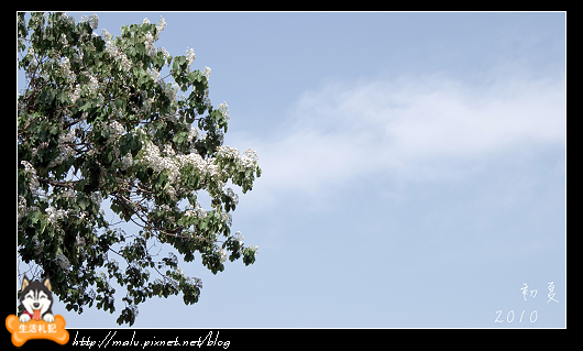 20100410002