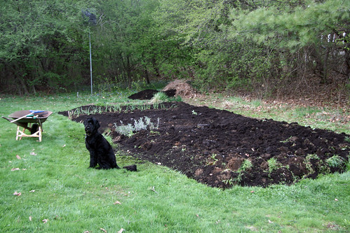 preparing mom and dad's garden 252
