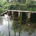 Eastleach clapper bridge and swans