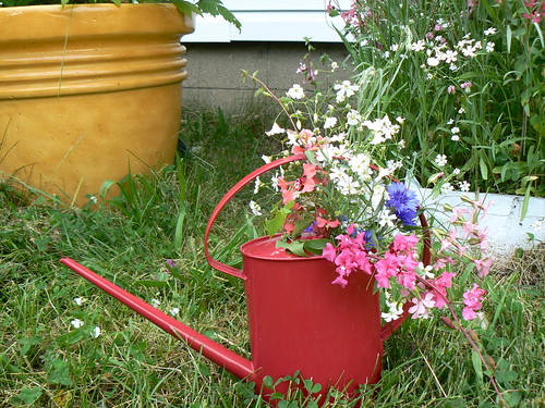 watering can with flowers