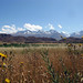 Kyrgyz grasslands