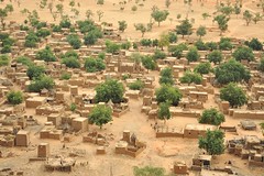 2a. Teli from cliff face. Timbuktu to Ouagadougou 118