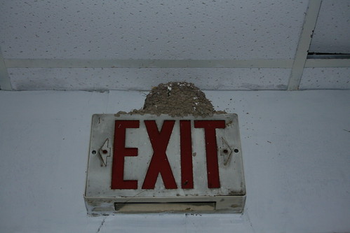 Mud tunnels over an exit sign