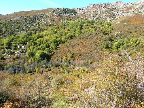 Sentier du ruisseau de San Petru : la vallée du San Petru et ses couleurs automnales