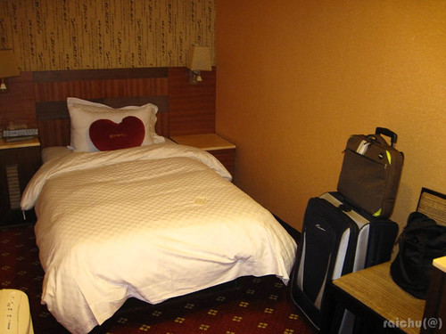 Ta Shun Hotel Single Room 01