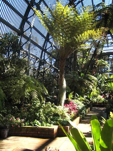 Botanical building - Balboa Park