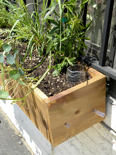 Brooklyn Pie Shop Window Boxes Become Sub-irrigated Planters (SIPs)