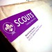 Scouts - Creating a better world