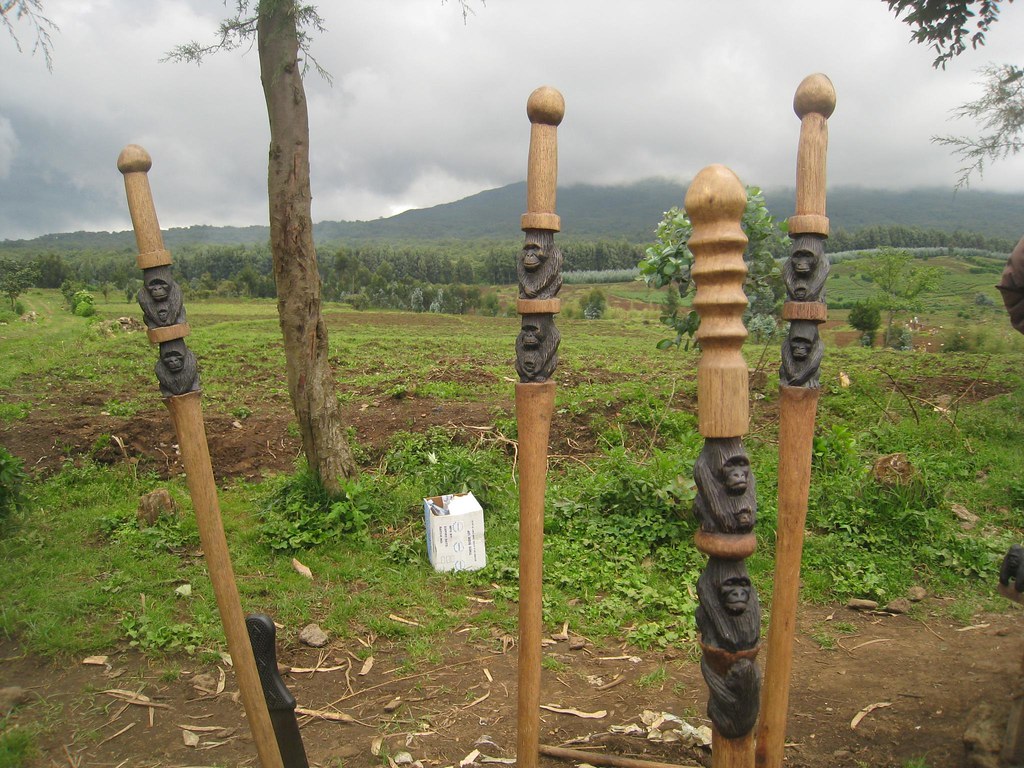 The gorilla walking sticks offered to us on the trek. I bought the one with the ribbed handle for $10.